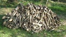 LEGNA DA ARDERE DI ULIVO 100Kg