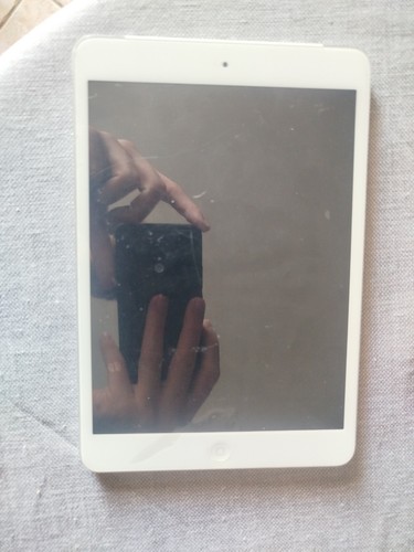 Apple ipad mini 1ª - mini,