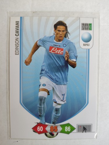 Card edinson cavani napoli - edinson,