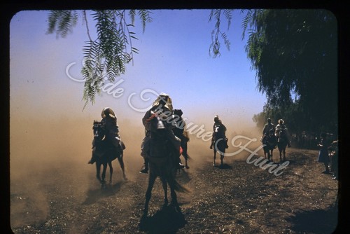 Cavalli uomo arabo 35mm
