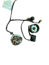 Centralina Minarelli Statore