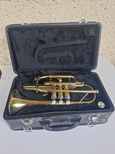 Trompette golden cup - trompette,