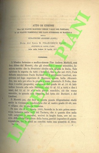 Mase francesco atto di - mase',