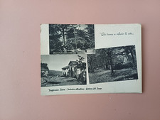 CARTOLINA ZAFFERANA ETNEA VIAGGIATA CATANIA