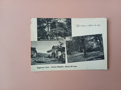 Cartolina zafferana etnea - cartolina,