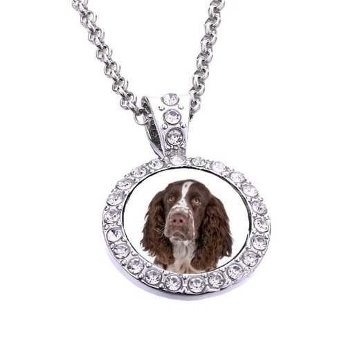 Springer spaniel dog silver - springer,