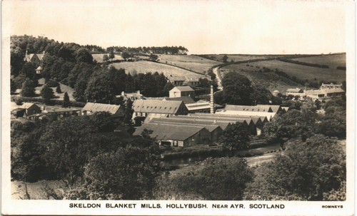 Hollybush near ayr - hollybush, skeldon