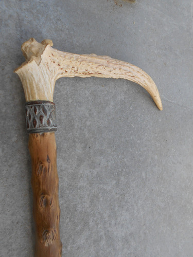Bastone passeggio con - bastone, da