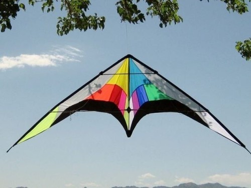 Stunt kite dual line 102 - line, 102"x30"
