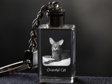 Orientale Corti, Gatto