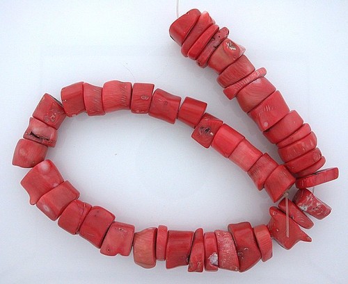 Fette corallo salmone - fette,