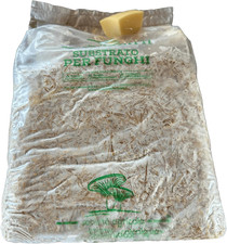 | Kit Coltivazione Funghi