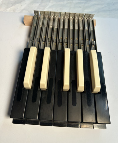 Hammond organo inferiore - b3,