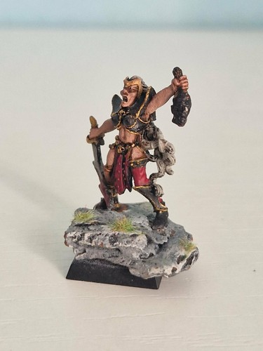 Warhammer old world campione - warhammer,