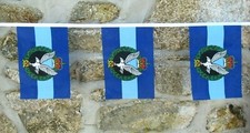 Bandiera dell'esercito Air
