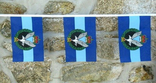 Bandiera dell esercito air - dell'esercito,