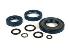 Kit paraoli albero motore