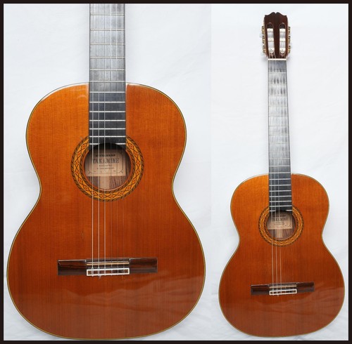 Takamine chitarra classica - takamine, n.5