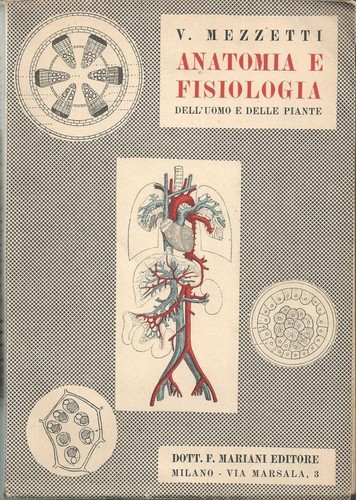 Mezzetti nozioni anatomia - nozioni, di