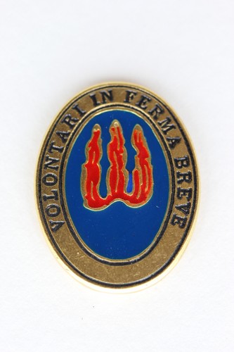 Spilla pins distintivo - pins,