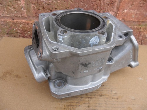 Rotax max senior - max,
