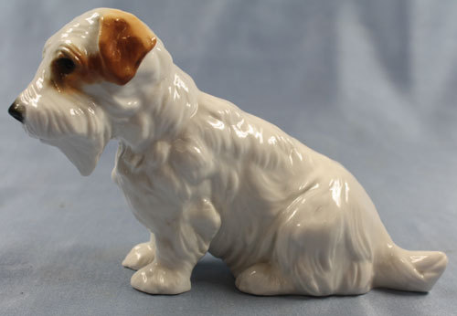Terrier cane porcellana