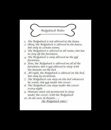 Rhodesian ridgeback rules - rhodesian,