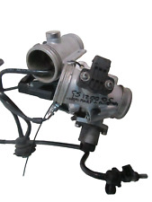 Coppia corpi farfallati +