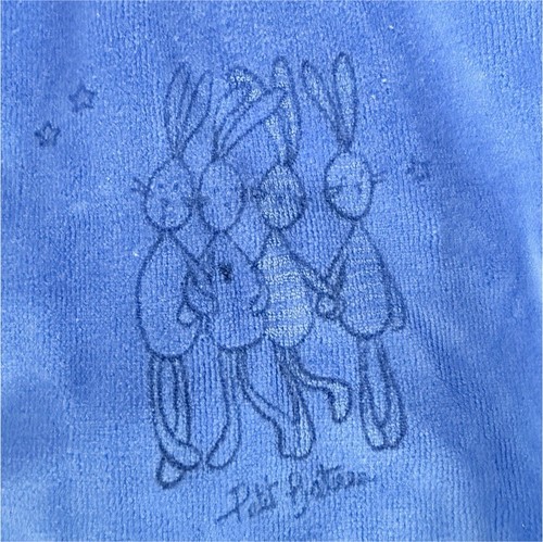 Petit bateau blue - petit, velour