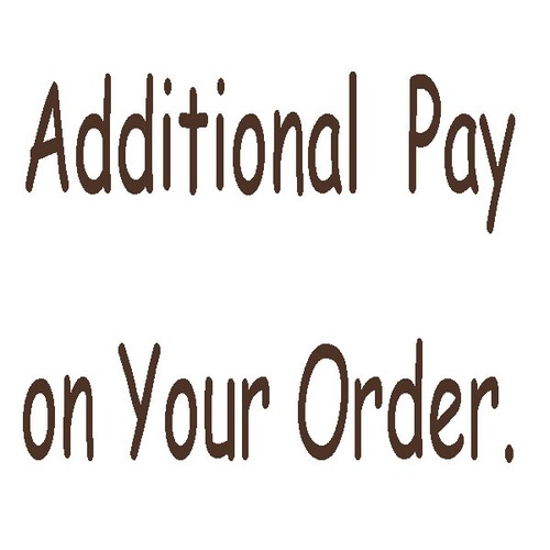 Extra fees for car dvd - extra,