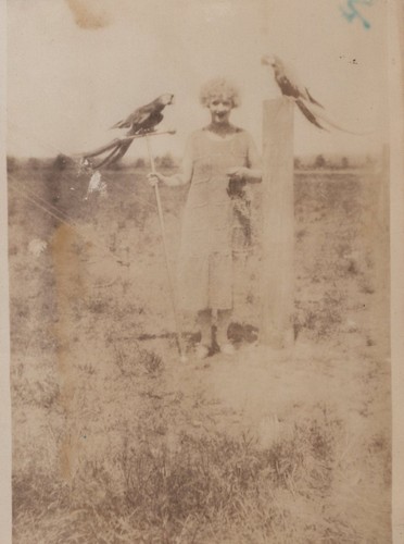 Sparks circus bird act - bird,