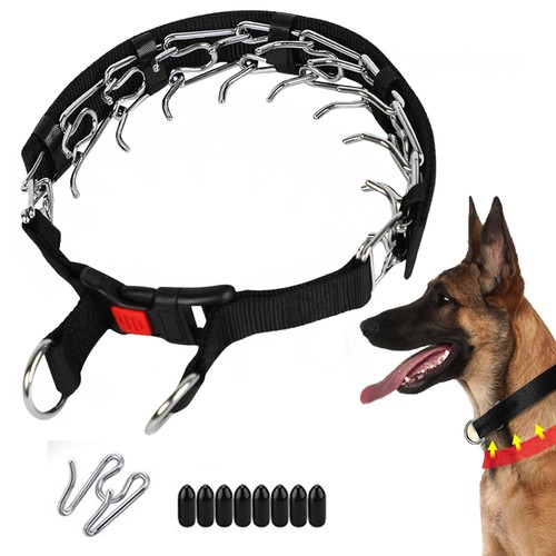 Collare per cani - collare,