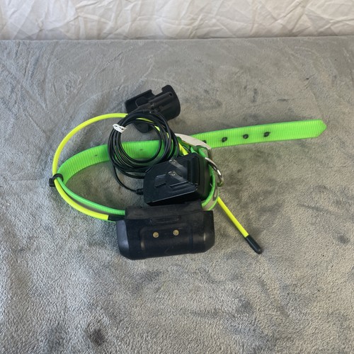 Garmin dc40 collare - dc40,