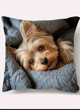 YORKSHIRE TERRIER Copricuscini