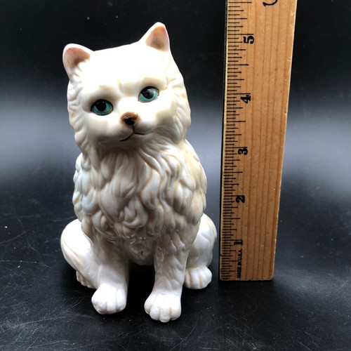 Gatto gattino occhi - gatto,