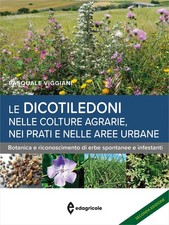Le dicotiledoni nelle colture