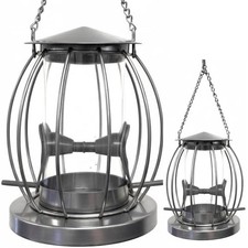 Uccello Selvatico Mangiatoia