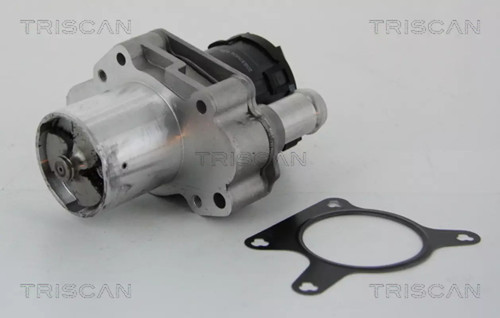Valvola egr triscan 8813 - 8813, 23031