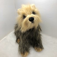 Yorkshire Terrier Cucciolo