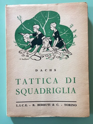 Scautismo dachs tattica di - scautismo.,