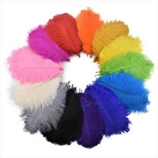 10pcs 15-20cm Piume Struzzo