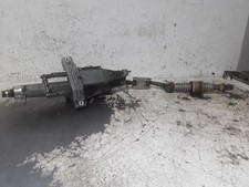 CANNA DELLO STERZO (PIANTONE)