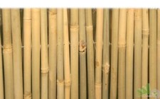 ARELLA COPERTURA FRANGIVISTA