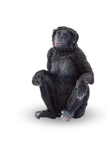 Schleich wild life - schleich,