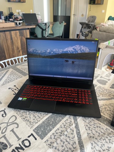 Portable gamer msi - (47), pc
