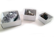 24 scatoline in cartone per minerali conchiglie e fossili da montare