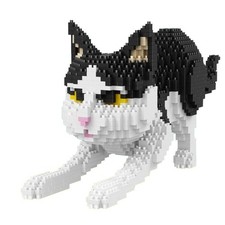 Balody Gatto rannicchiato