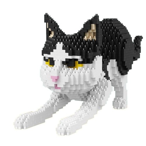 Balody gatto rannicchiato - gatto,
