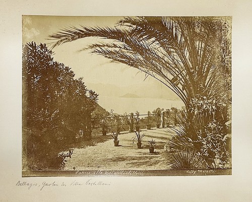 Bosetti villa serbelloni - -,