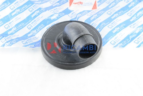 Coperchio filtro depuratore - coperchio,